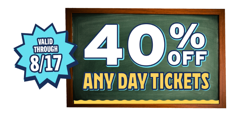 Back To School flash sale - save 40% on any day tickets